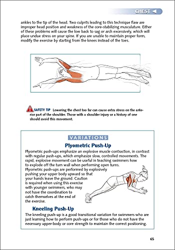 Swimming Anatomy