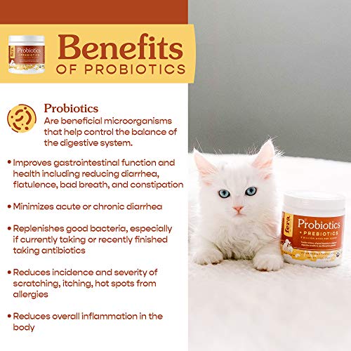 Fera Pets Postbiotics Plus for Dogs– Vet Created Dog Prebiotics & Postbiotics Supplement for Your Pet’s Digestive Health & Immune Support – 120 Scoops