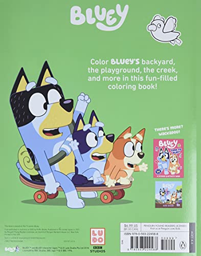 Bluey: Big Backyard: A Coloring Book