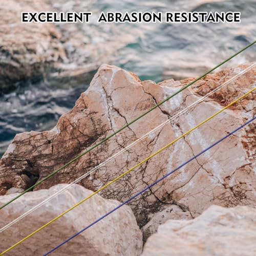 Riverruns Nylon Monofilament Fishing Leader Line with Spool, High Abrasion Resistance, Lower Light Refraction Leader Transparent Line 20-200LB, Suitable for Saltwater.(25lb, 0.45mm)