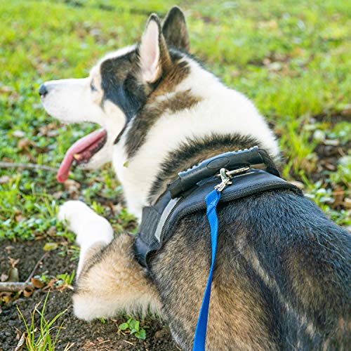 HIKISS Long Dog Leash Obedience Recall Training Agility Lead with Thickening Material for Large Dog - 15ft 20ft 30ft 50ft 100ft Training Leash(Green 20ft)