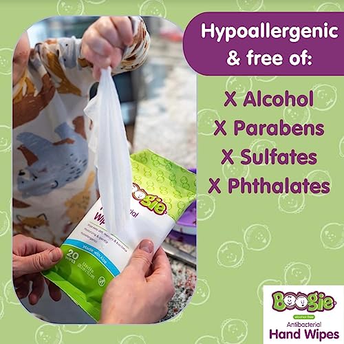 Antibacterial Hand Wipes by Boogie, Alcohol Free, Hypoallergenic and Moisturizing Aloe, Hand Wipes for Kids and Adults, 5 Packs of 20 (100 Total Wipes)
