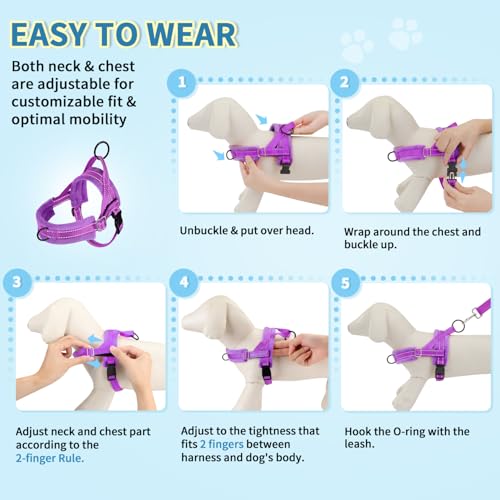 Lukovee No Pull Dog Harness and Leash Set, Soft Padded Small Dog Harness, Neck & Chest Adjustable Reflective Vest Puppy Harness with 4ft Lightweight Anti-Twist Dog Leash for Small Dogs (XXS, Purple)
