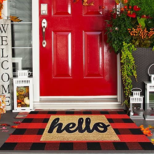 SEEKSEE Cotton Buffalo Plaid Rug 2'x3' Black and White Checked Rug Washable Doormats Indoor Outdoor Rugs for Layered Front Door Mats, Porch, Kitchen, Farmhouse, Entryway