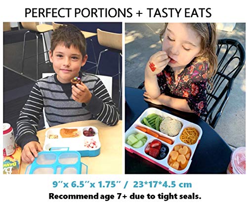 Bento Lunch Box Kids & Adult: Leakproof Containers for Boys & Girls with 6 Compartments - School, Daycare, Meal Planning Portion Control Container, BPA-Free Boxes, Utensils, Blue & Pink Set