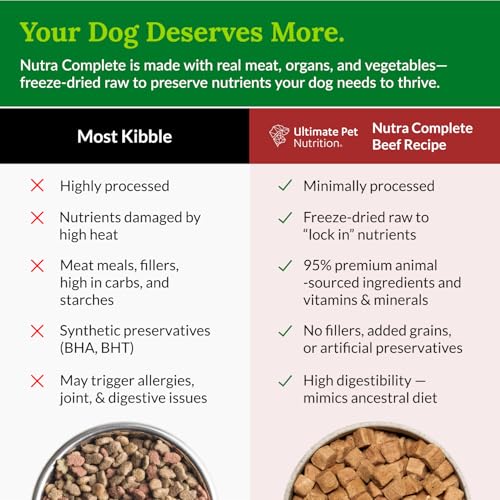ULTIMATE PET NUTRITION Nutra Complete Freeze Dried Raw Dog Food, Veterinarian Formulated with Antioxidants, Prebiotics & Amino Acids (5 Ounce, Beef)