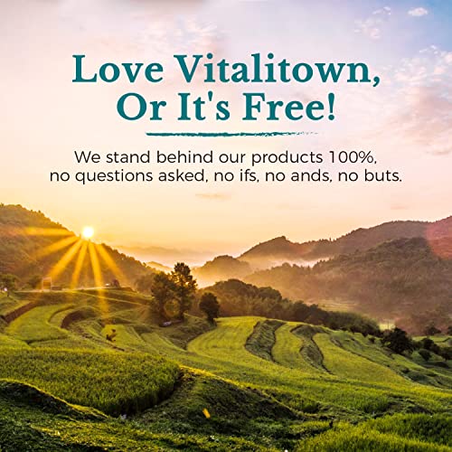 VITALITOWN Probiotics + Prebiotics | 60 Billion CFUs 19 Strains | 60 Delayed Release Veg Caps | Shelf Stable, Prebiotics and Probiotics | Digestive Health, Immune Health | Vegan, Non-GMO, No Dairy