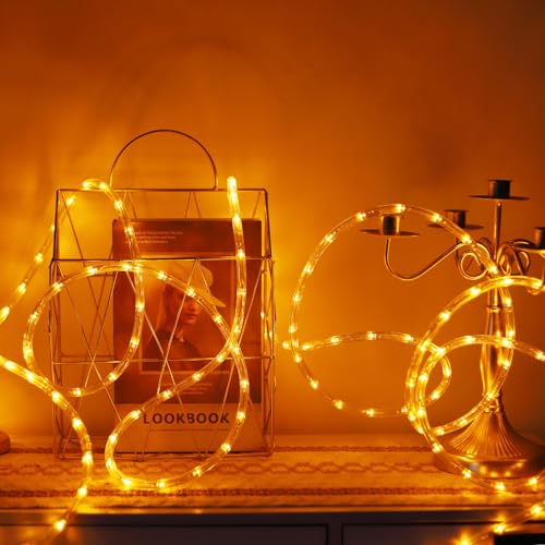 50ft 360 LED Waterproof Rope Lights,110V Connectable Indoor Outdoor Led Rope Lights for Deck, Patio, Pool, Camping, Bedroom Decor, Landscape Lighting and More (Orange)