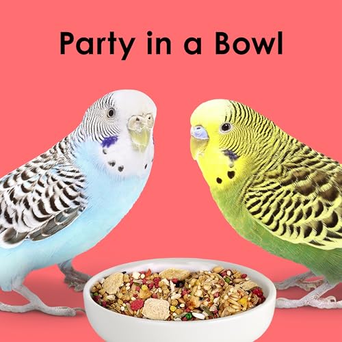 Kaytee Fiesta Parakeet Food, Nutritious and Fun Blend, Supports Skin, Feather, Digestion, Brain and Heart Health, 4.5 pounds