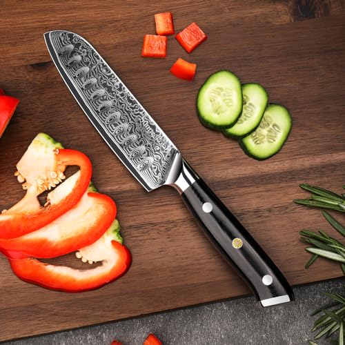 Sunnecko Damascus Chef Knife Japanese Santoku Knife 5 Inch Chopping Knife Vegetables, High Carbon Stainless Steel Knife with Gift Box