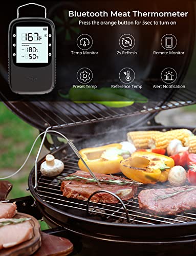 Govee Bluetooth Meat Thermometer, Wireless Meat Thermometer for Smoker Oven, Digital Grill Thermometer with 2 Probes, Timer Mode, Smart LCD Backlight BBQ Thermometer for Cooking Turkey Fish Beef