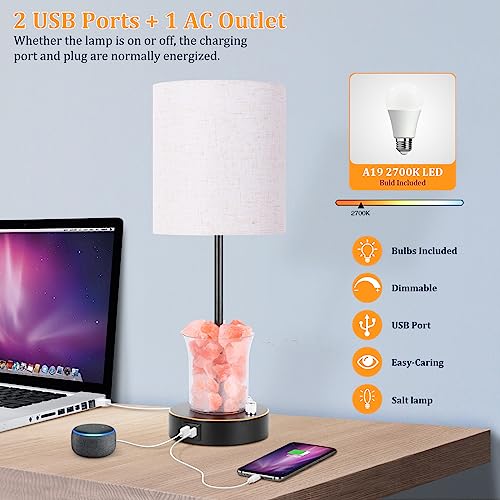 Dott Arts Touch Table Lamps with USB Ports, 3-Way Dimmable Bedside Nightstand Lamp with Salt Lamp,Table Lamps for Living Room Bedrooms Reading Room,Bulbs Included