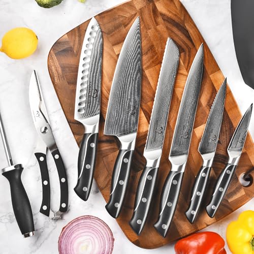 Damascus Kitchen Knife Sets, 9 Pieces Kitchen Knives Set with Block, ABS Ergonomic Handle for Chef Knife Set, Knife Sharpener and Kitchen Shears, Knife Block Set NF-D0603T-B