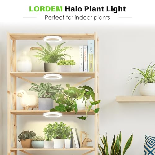 LORDEM 6.3" Bamboo Ceiling Grow Lamp for Indoor Plants, 216 LEDs Full Spectrum Halo Plant Light, Under Cabinet Grow Lights with 4/8/12H Auto Timer Switch Modes, 4 Dimmable Brightness Levels, Tri Head