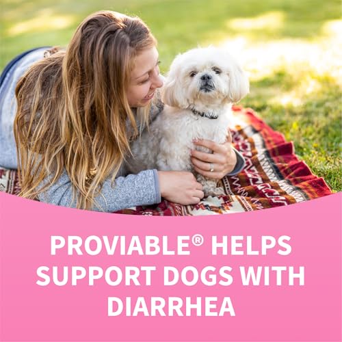 Proviable Digestive Health Supplement Kit with Multi-Strain Probiotics and Prebiotics for Medium to Large Dogs - with 7 Strains of Bacteria, 30 mL Paste and 10 Capsules