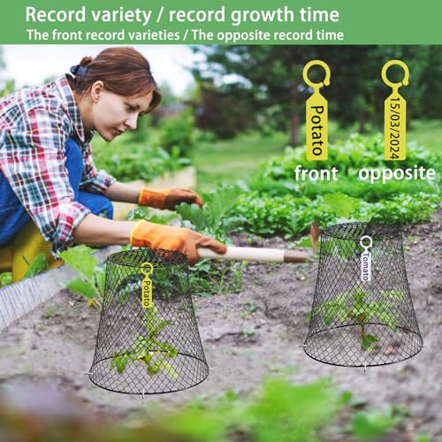 Sapbontchi Garden Cloches for Plants, Chicken Wire Plant Covers Plant Protectors from Animals Plant Protector Metal Plant Cages to Keep Rabbits Out Bunnies Chicken Squirrels Bird Out