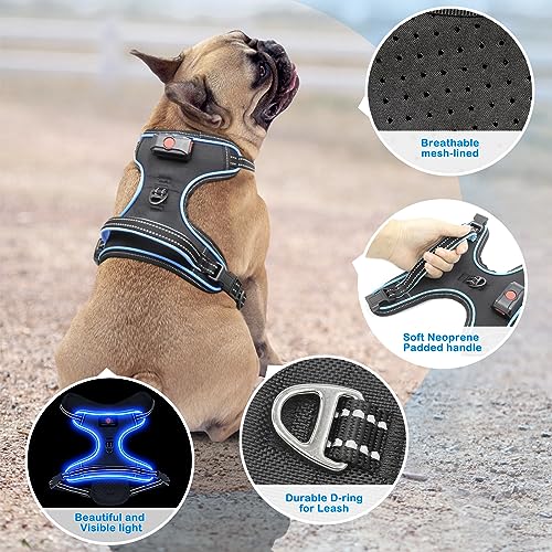 Vizbrite Light Up Dog Harness, No Pull LED Dog Harness with Handle, Rechargeable Lighted Safety Vest for Small Medium Large Dogs, Adjustable Soft Dog Lights for Night Walking