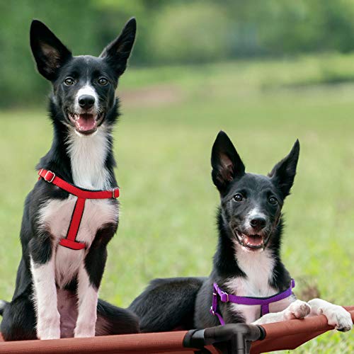 Veehoo 2 Pack Raised Dog Bed, Cooling Elevated Dog Bed, Portable Pet Cot with Washable & Breathable Mesh, No-Slip Feet, Durable Dog Cots Beds for Large Dogs, 42" x 30", Beige Coffee, CWC1803-L