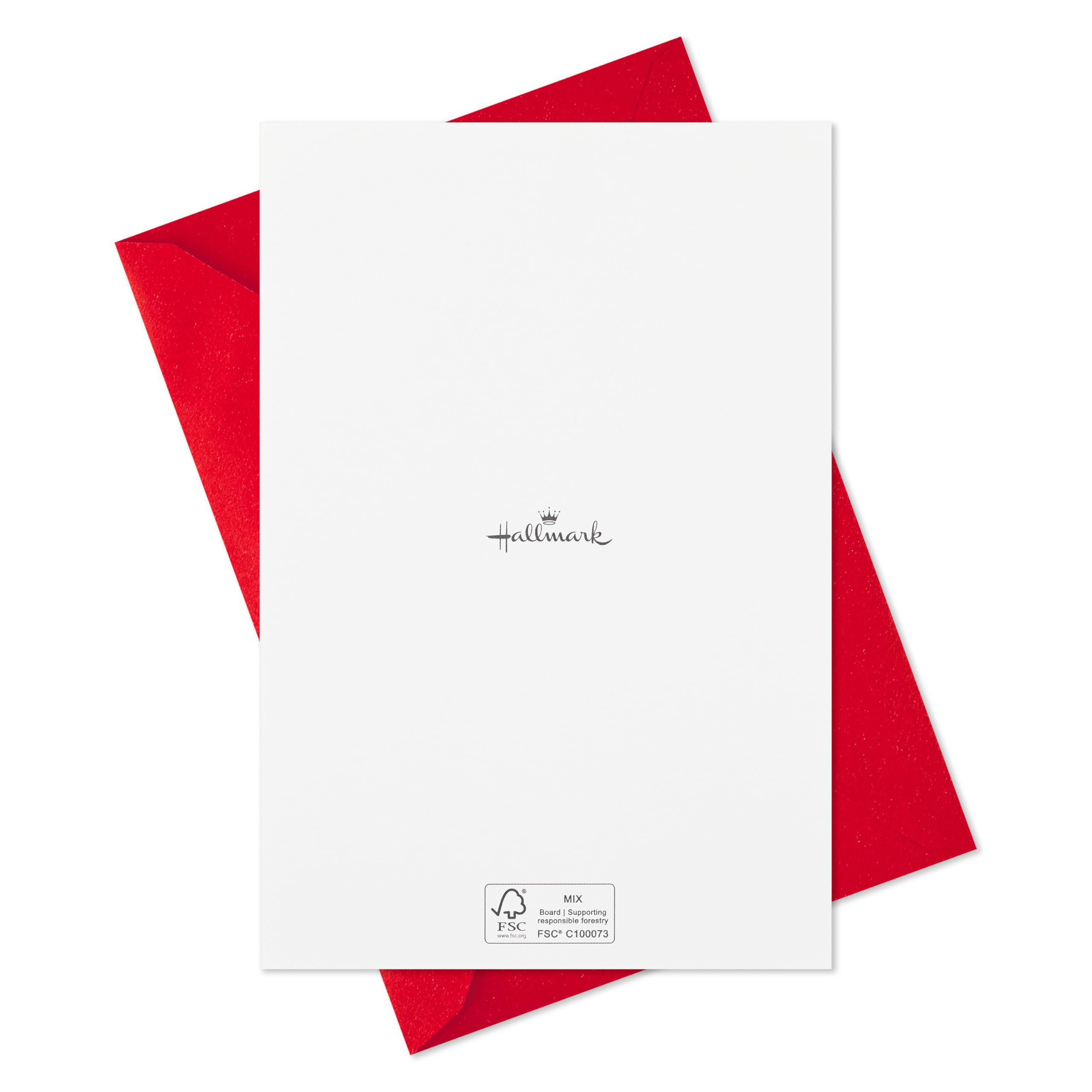 Hallmark Boxed Christmas Cards, Delivering Joy (40 Cards and 40 Envelopes) Red Front Door