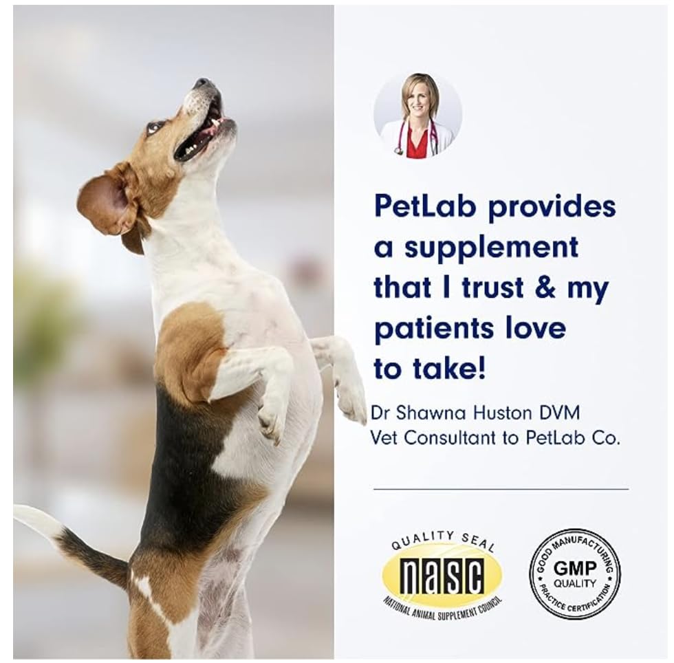 PetLab Co. 22 in 1 Dog Multivitamin - Support Dog's Immune Response, Skin, Coat, Joints & Overall Health - Vitamins A, E, D, B12, Minerals, Antioxidants - Chewable Pork Flavor