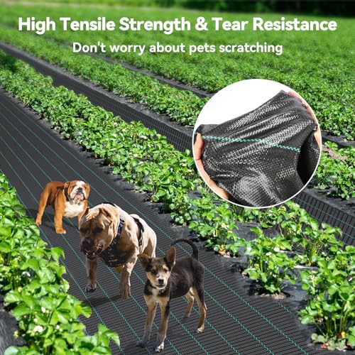 iropro 3ftx50ft Weed Barrier Landscape Fabric Heavy Duty, Woven Weed Control Cloth, Woven Geotextile Fabric for Underlayment, Gardening Ground, Commercial Driveway Weed Block Cover Mat