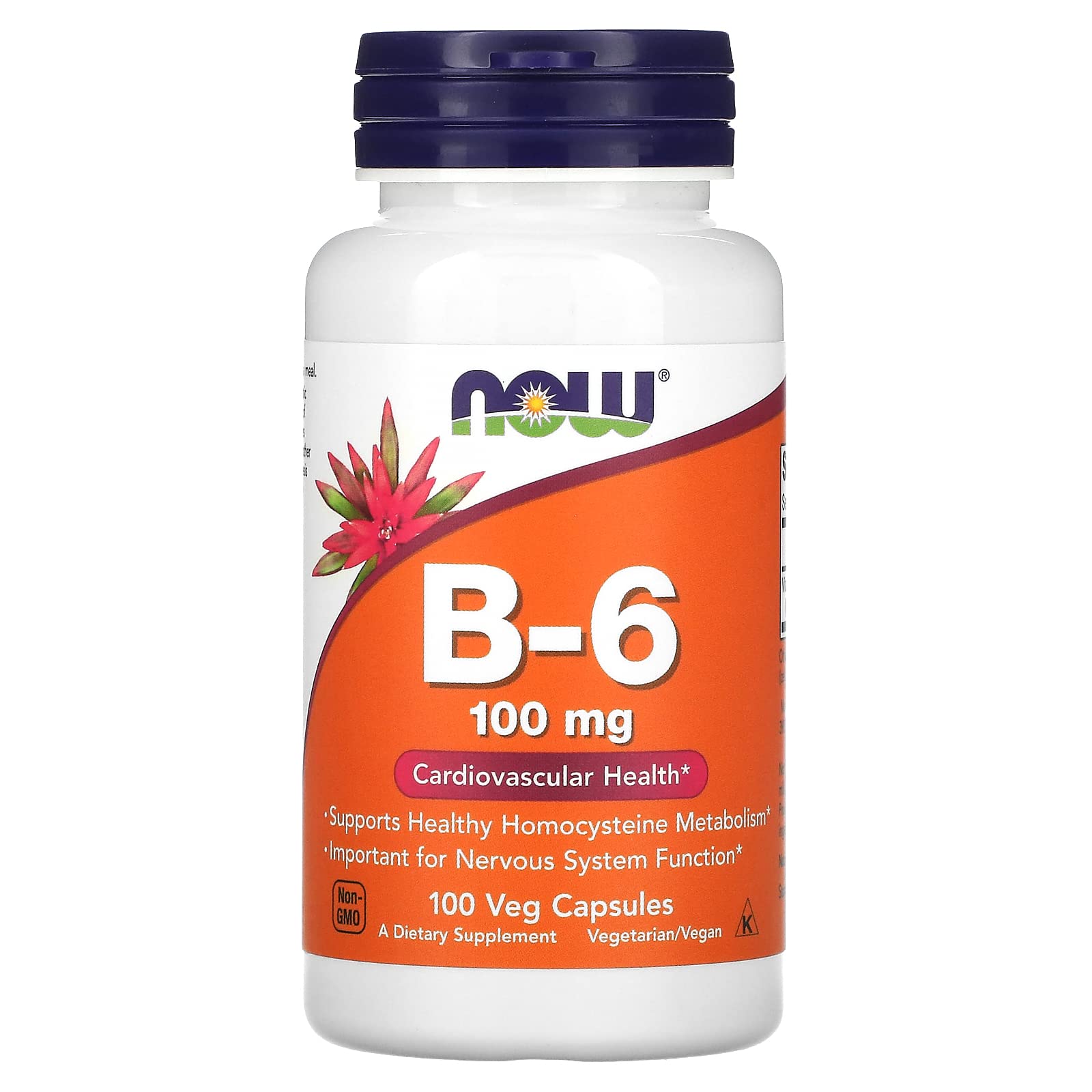 Now Foods B-6 100mg 100 Capsules