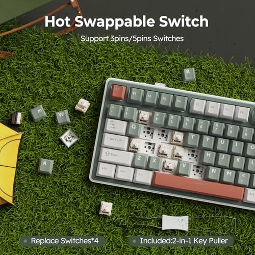 RK ROYAL KLUDGE R75 Wireless Mechanical Keyboard, 75% Percent Custom Gaming Keyboard Gasket Mount RGB Backlit with Knob & PBT Keycaps, BT5.1/2.4GHz/USB-C, QMK/VIA, Hot Swappable Cream Switch