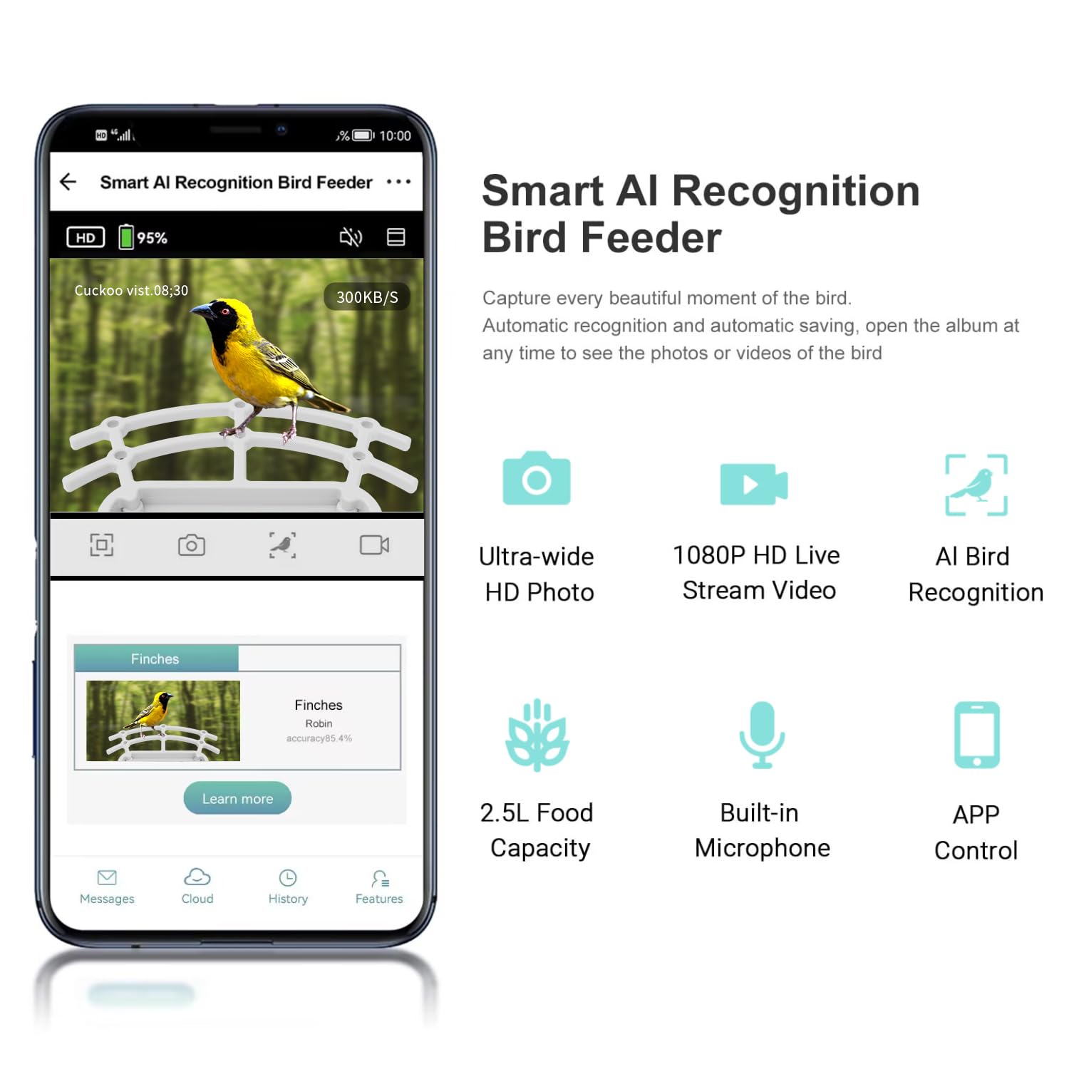 Smart Bird Feeder with Camera - HD AI Identify 11000+ Bird Species, Solar Panel Bird Feeder Auto Detect & Notify, Bird Watching Camera Wireless Outdoor for Bird Lover