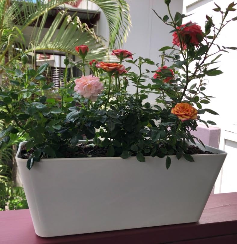 16 Inch Self-Watering Bamboo Planter (Black) - Rectangular - Bamboo Fiber - No Overwatering or Root Rot