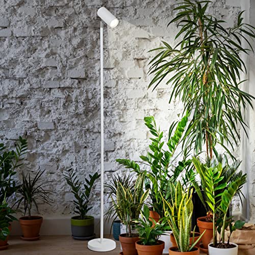 HMVPL Grow Lights Stand for Indoor Plants Full Spectrum Tall Plant Light for Indoor Growing with 20W COB Plant Light Bulb,4/8/12H Timer, Led Growth Floor Lamp for Large Plant Seedling(6 Level Height)