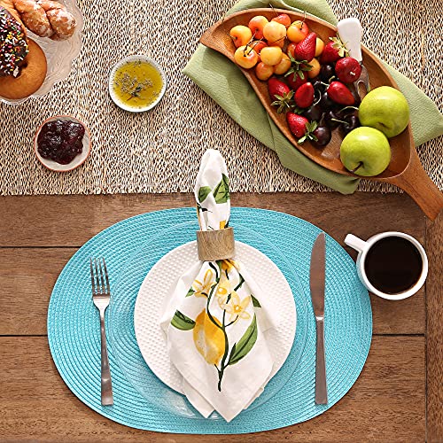 DII Classic Woven Tabletop Collection, Indoor/Outdoor Placemat Set, Oval, 12x18, Aqua, 6 Piece