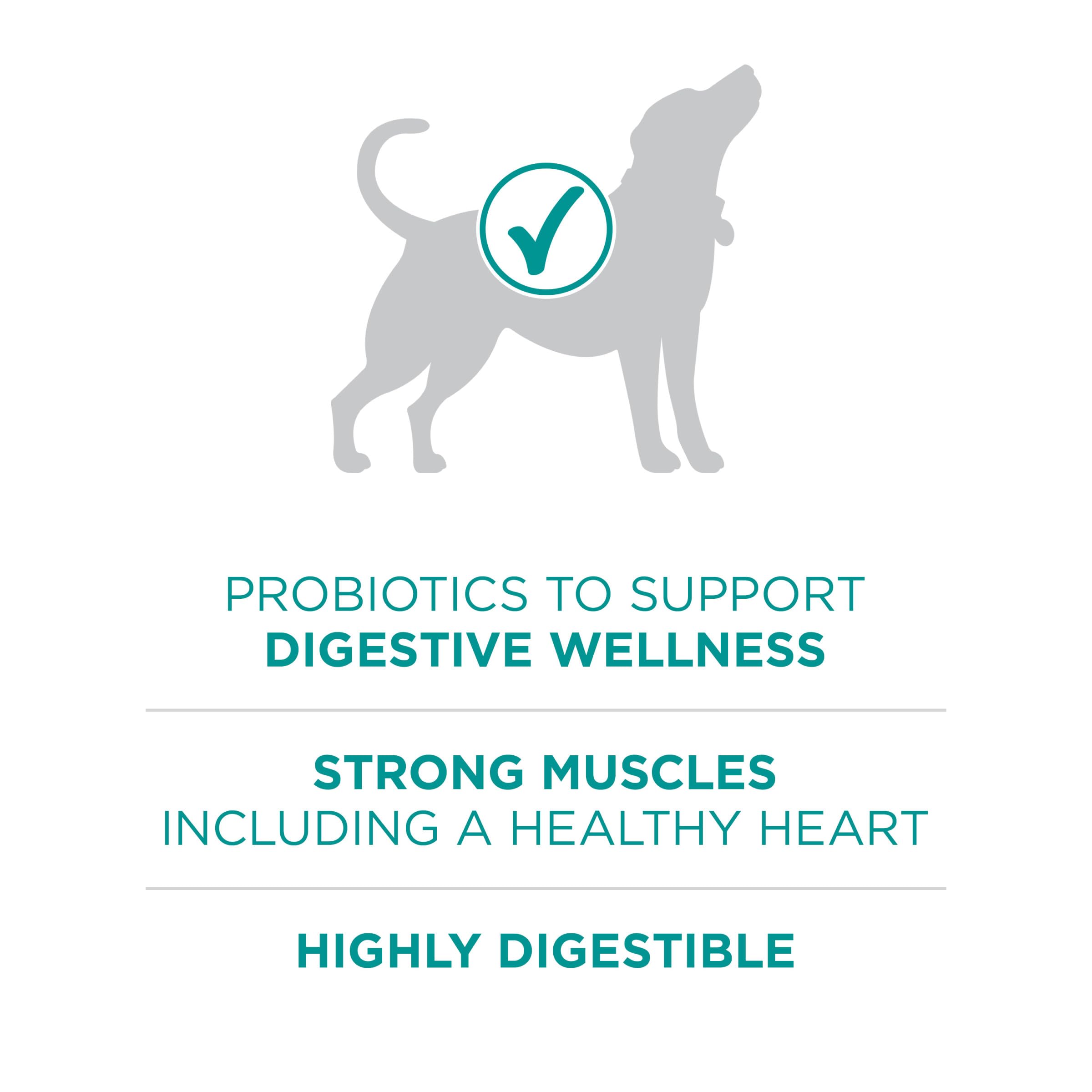 Purina One Plus Digestive Health Formula Dry Dog Food Natural with Added Vitamins, Minerals and Nutrients - 31.1 Lb. Bag