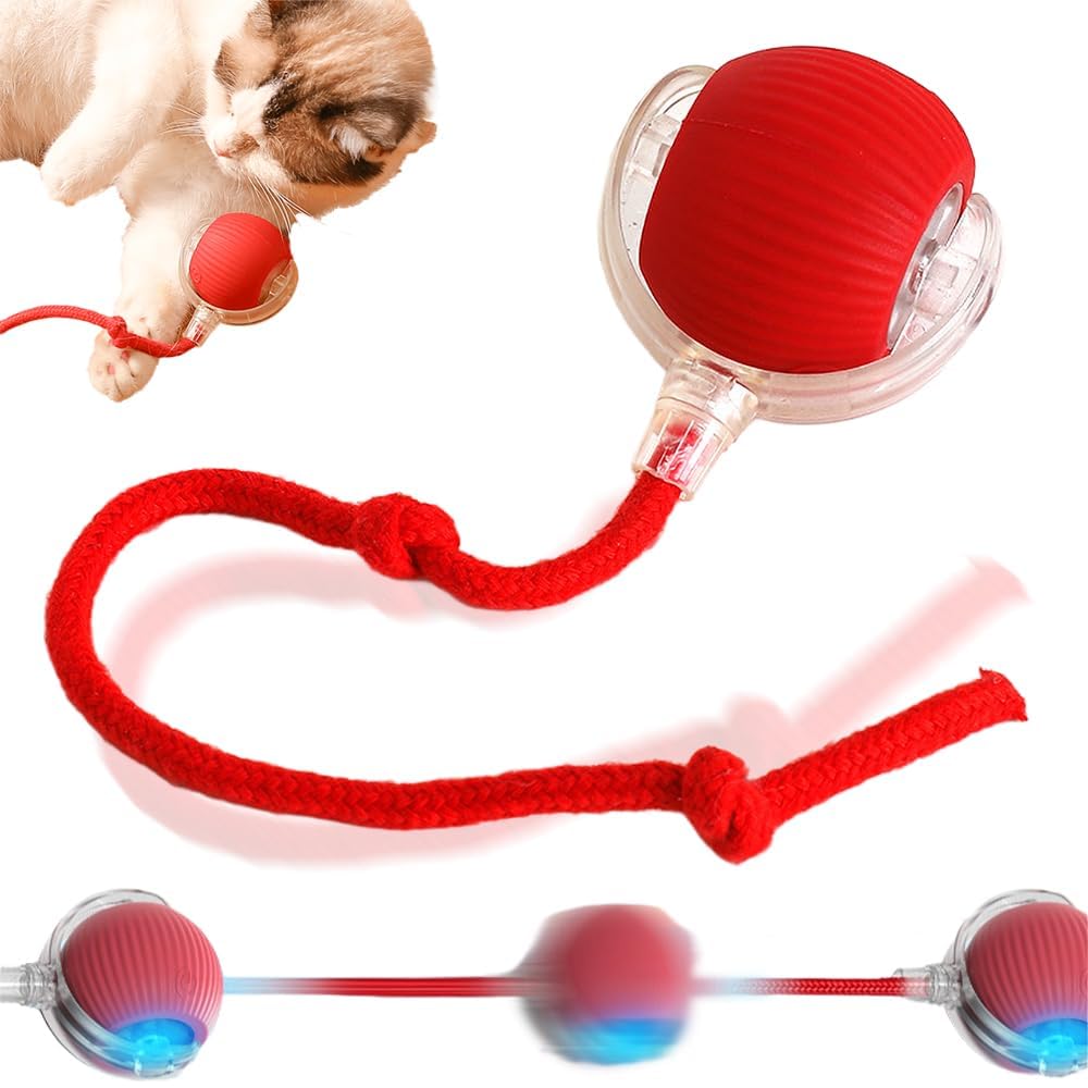 Interactive Rolling Dog Ball, 2024 New Self Rolling Dog Ball Interactive Cat Toys Automatic Cat Toy Self Moving Dog Toys, 360° Smart Automatic Rolling Ball Toy Electric Dog Balls for Dog/Cat (Red)