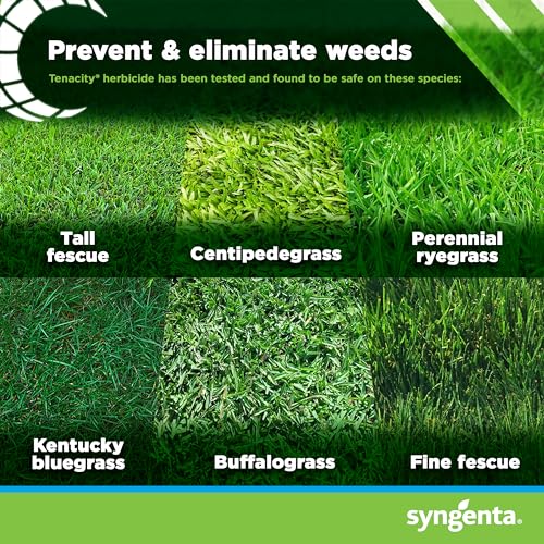 Syngenta 46256 Tenacity 8oz Herbicide, Clear