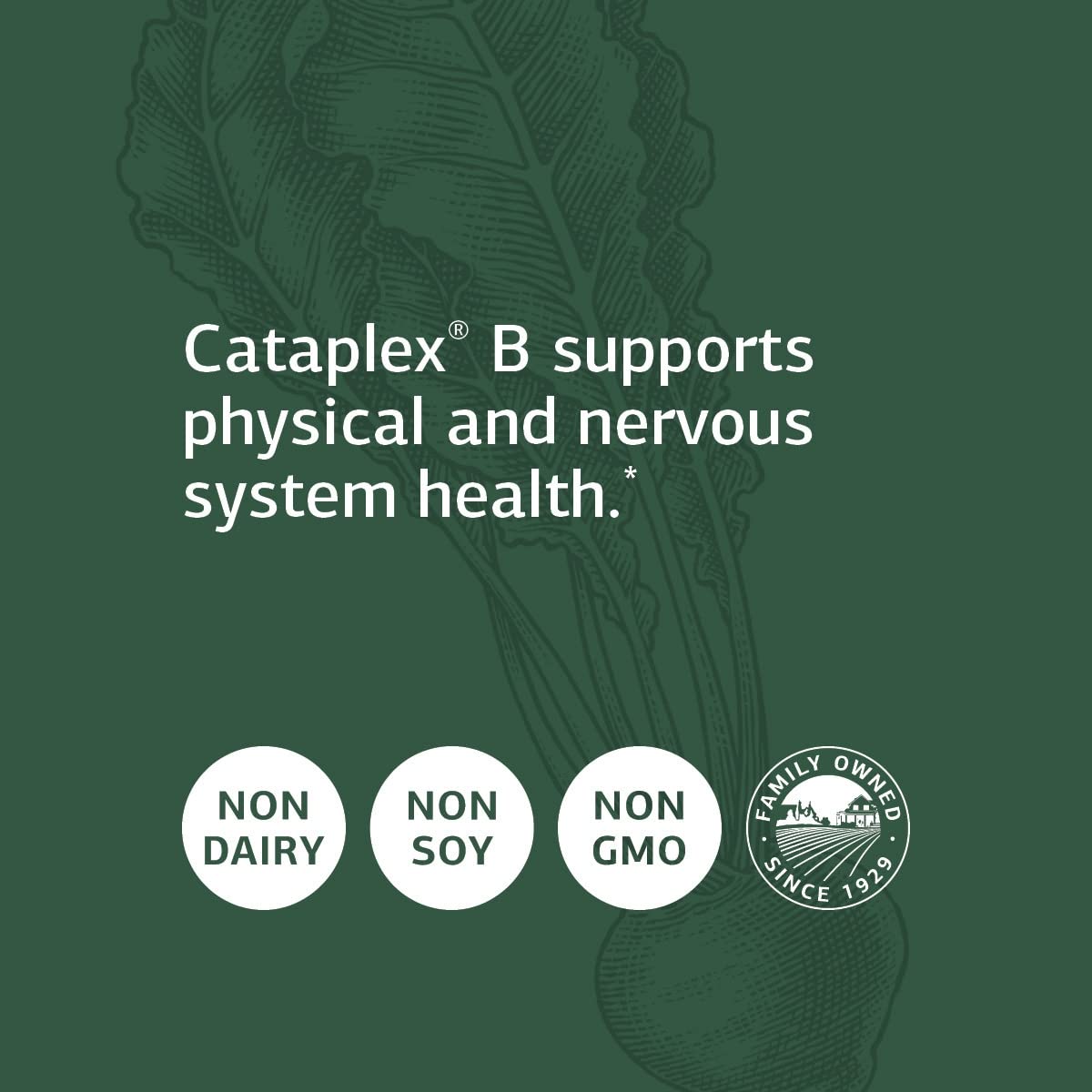 Standard Process Cataplex B - Whole Food Formula with Niacin, Vitamin B6, Thiamine, and Inositol for Heart Health, Metabolism, and Cholesterol Maintenance - 360 Tablets