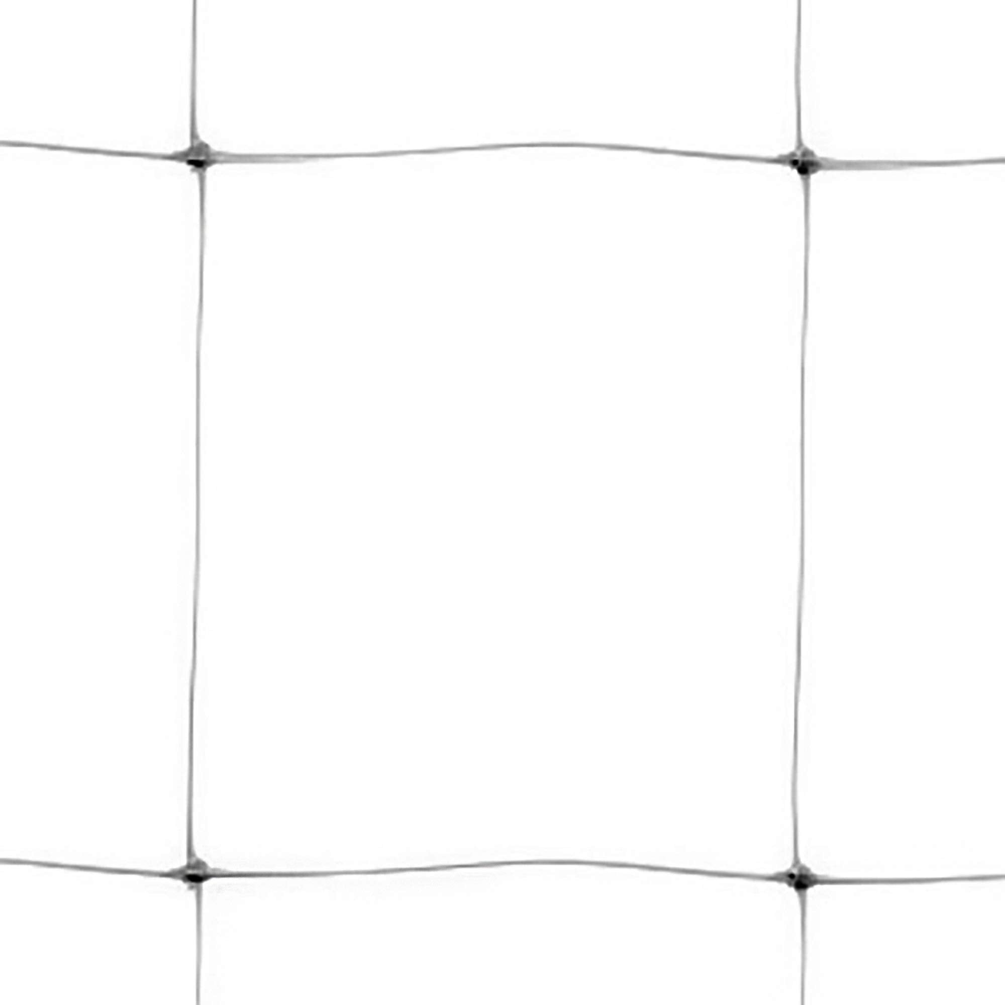 Tenax Hortonova Plant Trellis Net Lm, 67" x 328', White