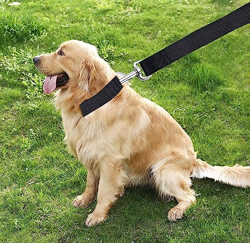 TAIAN 5 FT Strong Dog Leash, Nylon Dog Leashes for Small Medium Large Dogs Black