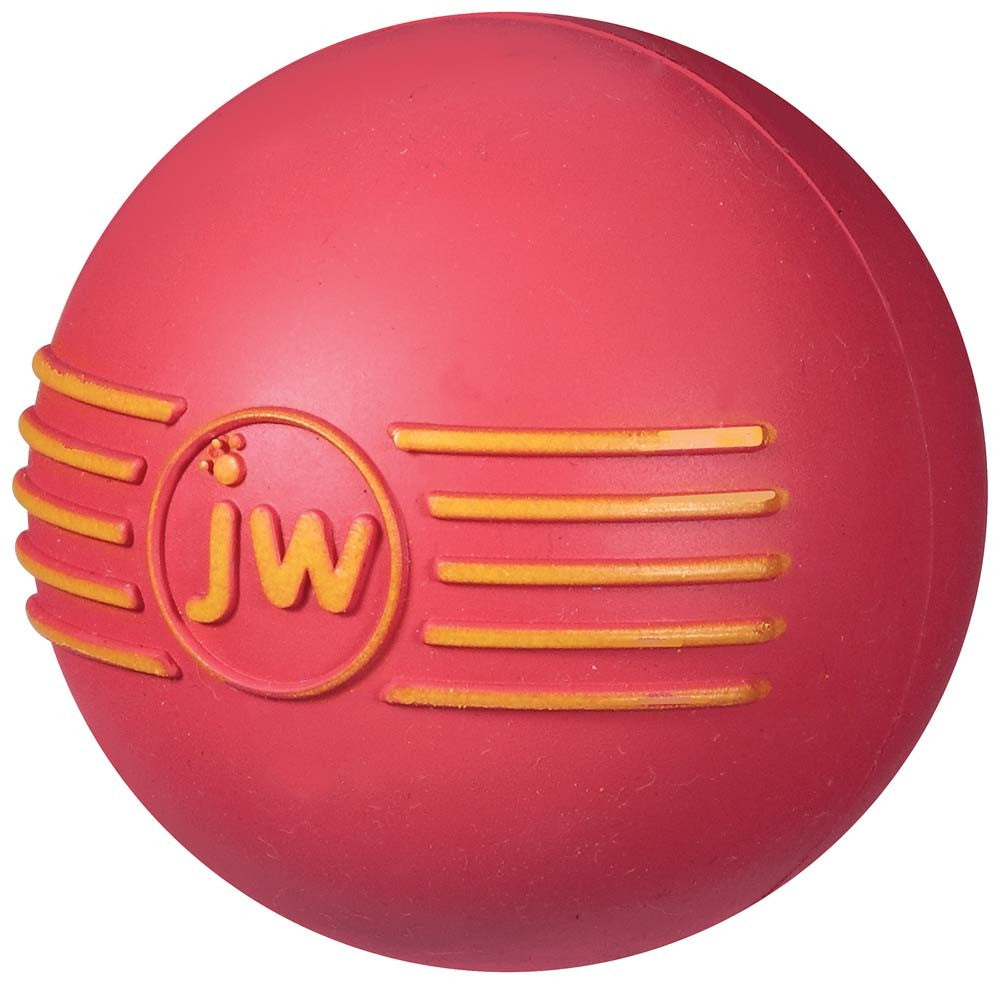 JW Pet iSqueak Ball Dog Toy Assorted Medium