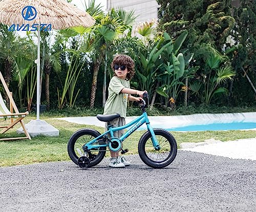 AVASTA 18 inch Kids Bike for 5 6 7 8 Years Old Little Kids Boys Girls with Dual Handbrakes & Kickstand Adjustable Seat Color Arctic