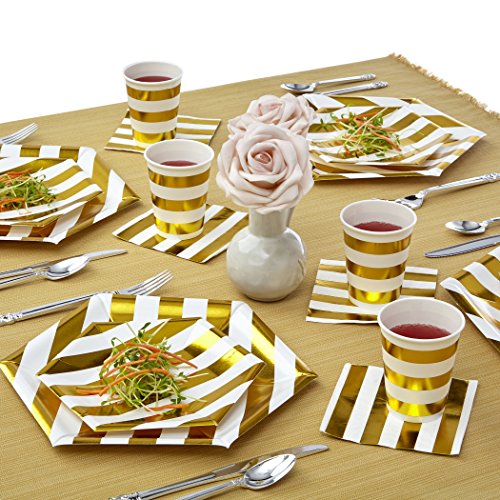 Silver Spoons Disposable Dinnerware Set | Stripe Collection, 18 Servings, White/Gold