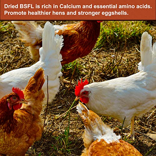 BUNTIE WORMS Dried Black Soldier Fly Larvae 5LB, High Protein Chicken Feed, 100% Natural Non-GMO – Treat for Chicken More Calcium Than Mealworms, Food for Laying Hen, Ducks, Wild Birds