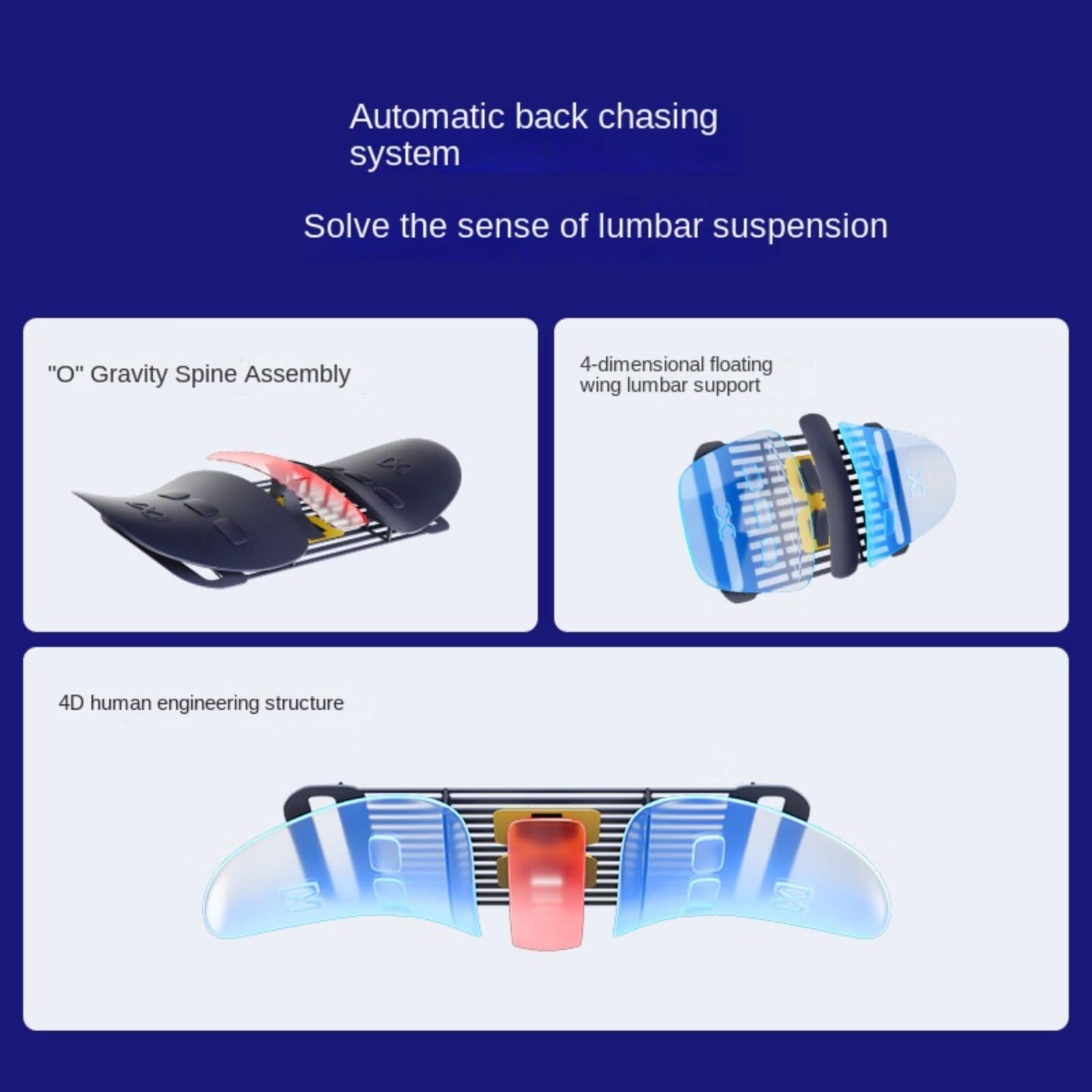 Back Brace for Lower Back Pain - Lumbar Support Belt for Men & Women for Sciatica, Herniated Disc, Scoliosis