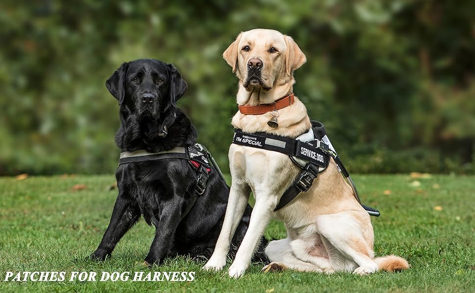 TXSN 12PCS Service Dog Patches Ask to Do Not Pet Patch Vest Removable Tactical Hook and Loop Dog Harness Vest Patch Set