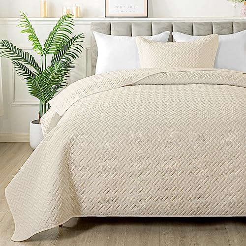 HYLEORY Quilt Set Full/Queen Size - Soft Lightweight Quilts Summer Quilted Bedspreads - Reversible Coverlet Bedding Set for All Season 3 Piece (1 Quilt, 2 Pillow Shams) - Beige