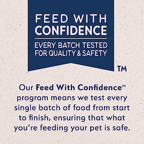 Natural Balance Original Ultra Fat Dogs Wet Dog Food, Chicken & Salmon Recipe in Broth, 13 oz. (Pack of 12)