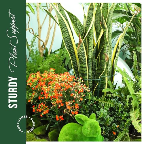 LEOBRO Plant Support Stakes, 4 PCS Plant Stakes, Plant Support, Peony Cages and Supports, Garden Stakes, Plant Holder, Plant Stakes for Outdoor Plants, Peony Hydrangea Support Cage, 9.8" W x 15.7" H