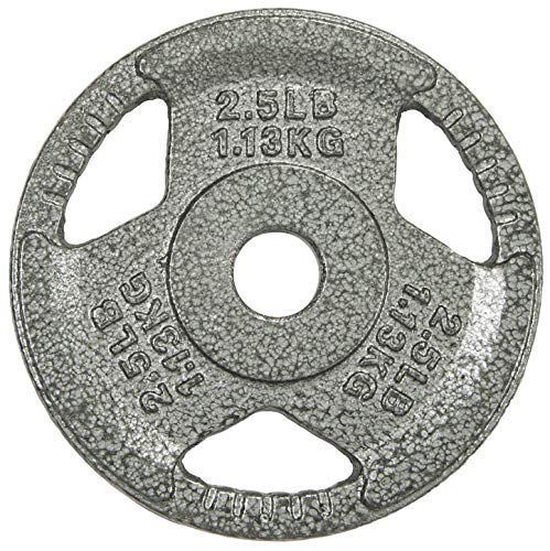 HulkFit 2-inch Iron Plate for Strength Training, Weightlifting, 45lb PAIR