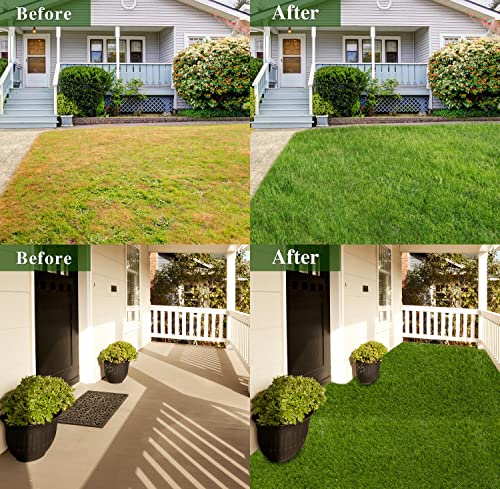 Realistic Thick Artificial Grass Turf -Indoor Outdoor Garden Lawn Landscape Synthetic Grass Mat - Thick Fake Grass Rug (Sample-1FTX1FT(1 Square FT))