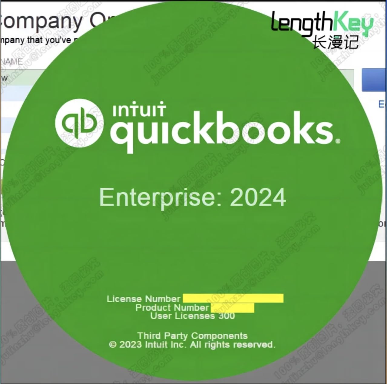 Quick Books Desktop Pro Enterprise 2024 (Digital software key) Lifetime Subscription