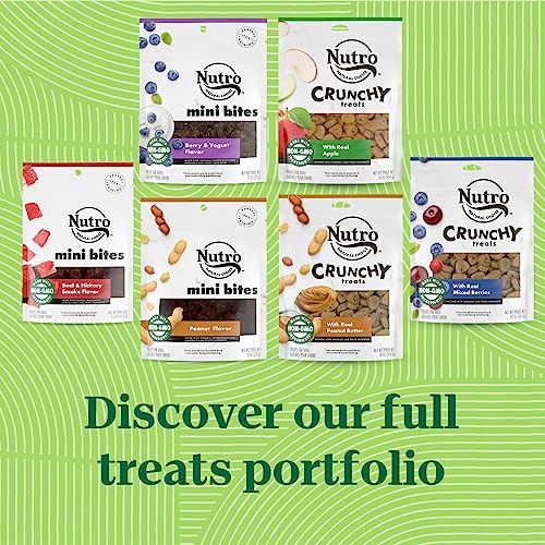 NUTRO Crunchy Dog Treats with Real Mixed Berries, 16 oz. Bag